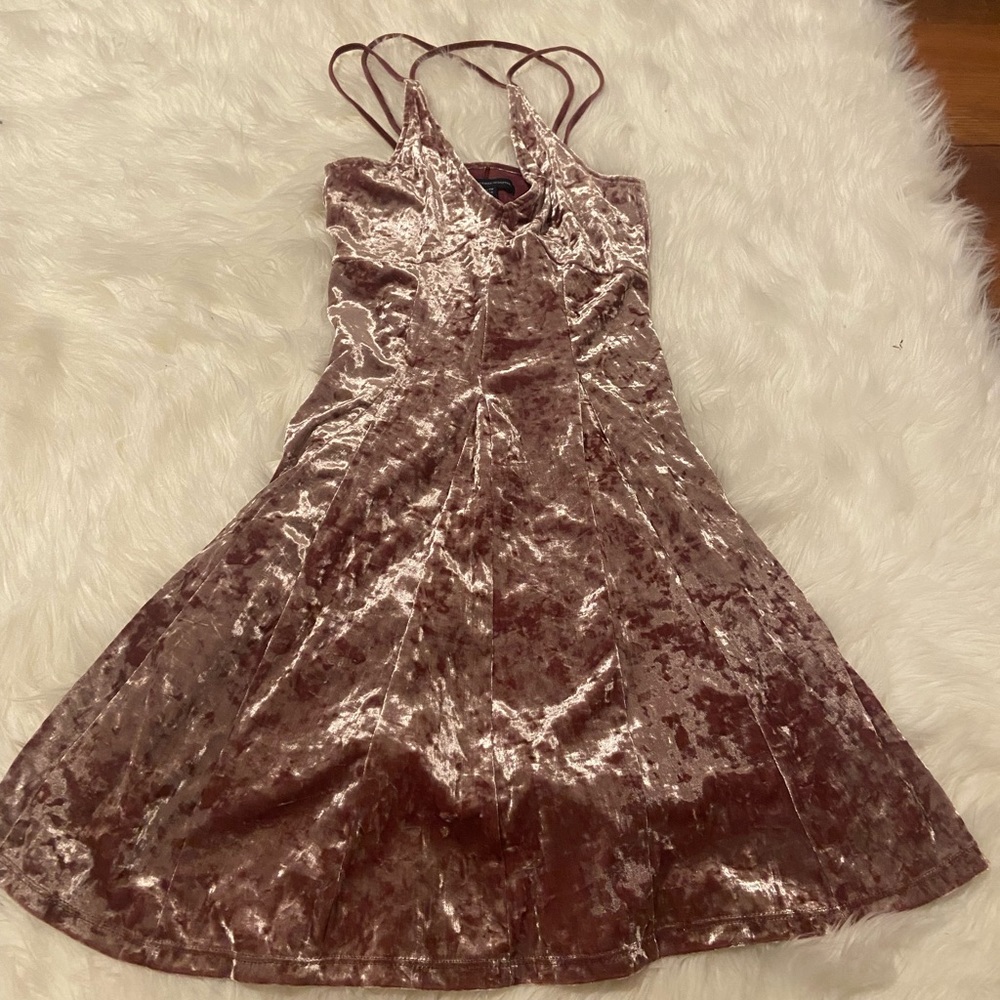 American Eagle Velvet Rose Dress